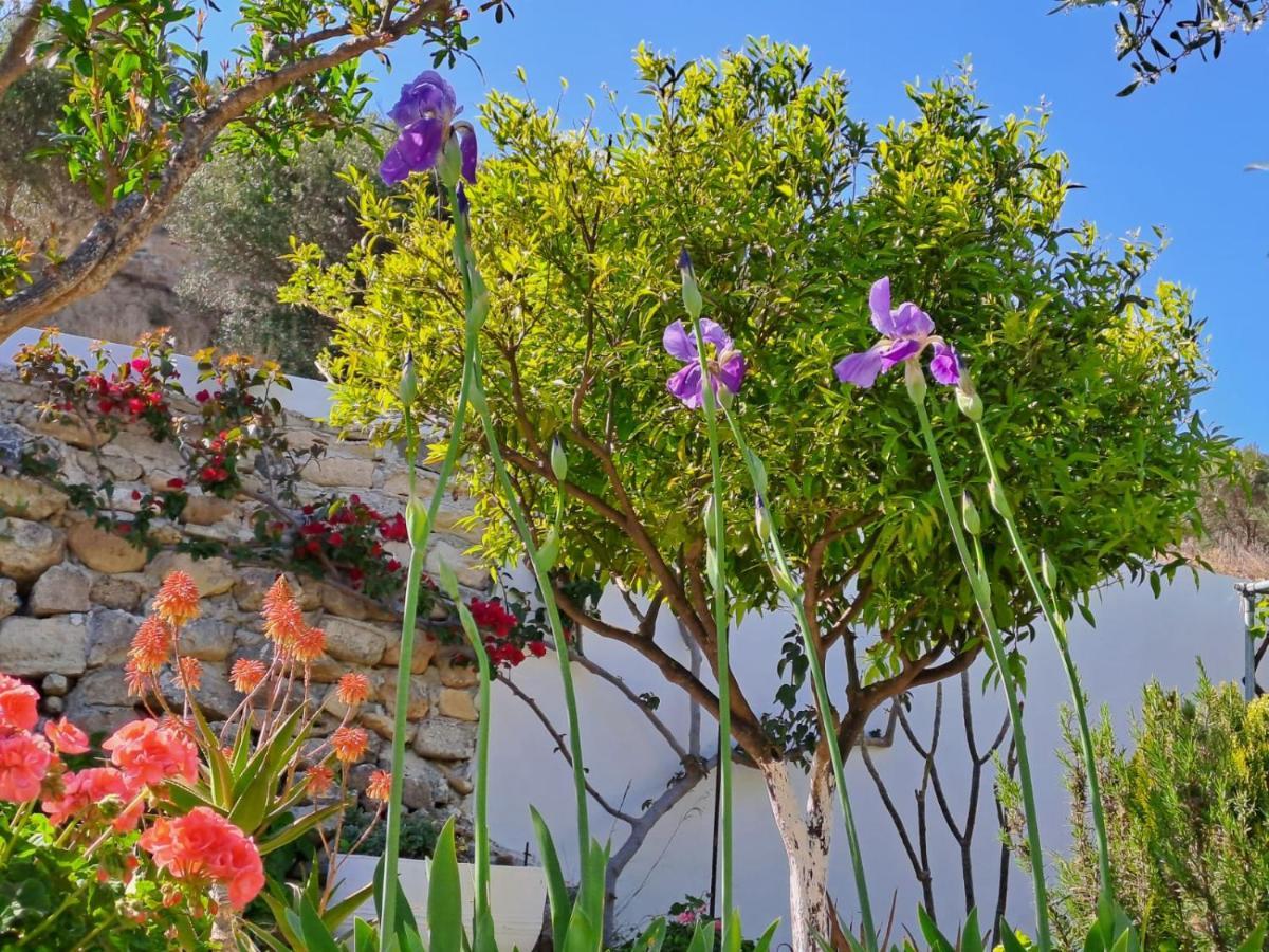 Arhondia House Hébergement de vacances